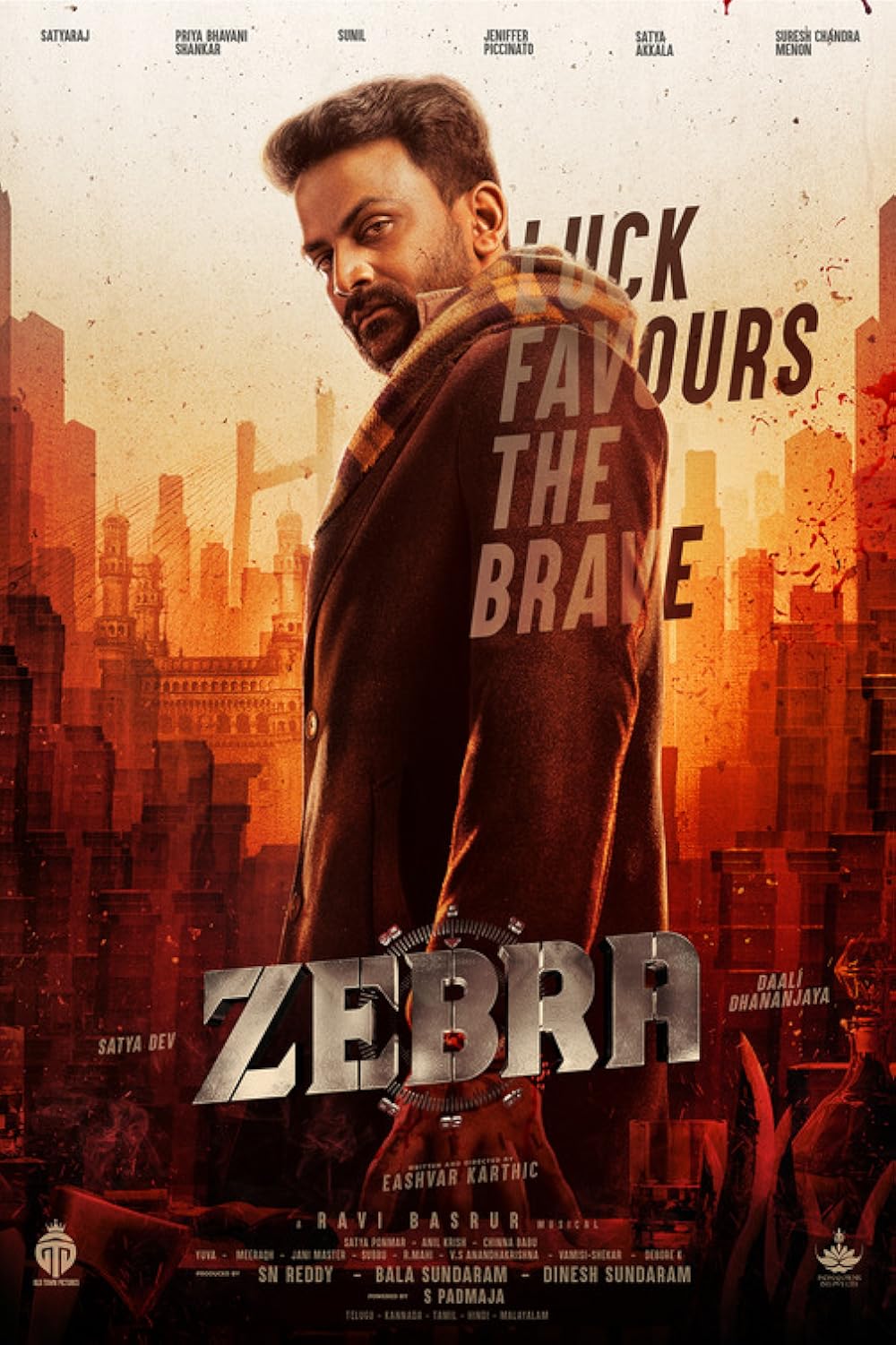 Zebra 2024 Hindi (HQ-Dub) 1080p 720p 480p HDRip Download